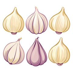 six garlic vegetable separately set  isolated  on white background