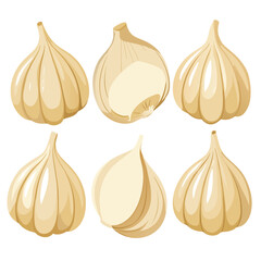 six garlic vegetable separately set  isolated  on white background