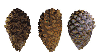 Pixel art pine cones