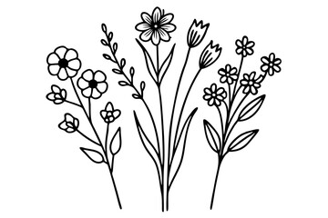 vector illustration of a flower Minimalist Wildflower Line Art Set – Botanical Floral Sketch Bundle