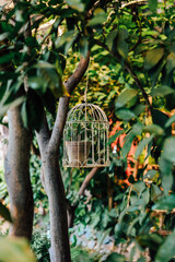 Elegant birdcage hangs gracefully among vibrant greenery in a peaceful garden setting