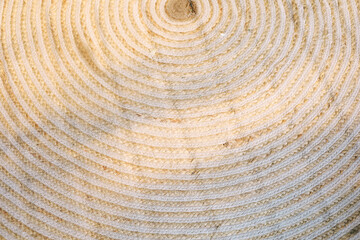 Textured woven surface showing intricate circular patterns from natural fibers