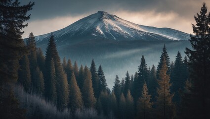 A snow-capped mountain rising above a dense forest of pine trees, with a cloudy sky overhead.