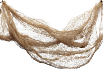 Unique fishing net suspended against a transparent background creates an interesting visual element for aquatic themed designs and marine projects