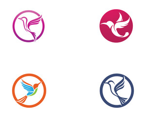 Hummingbird icon logo and symbols template vector