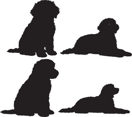 Aussiedoodle dog silhouette vector illustration
