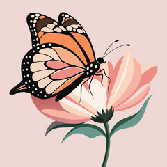 Black and White Butterfly Illustration