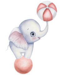 A bright watercolor elephant stands on a circus red ball. He holds a multicolored ball in his trunk. He has big expressive eyes and pinkish ears. This drawing can be used in children's themes, for dec