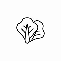lettuce salad icon sign vector