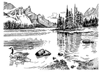 Island on the lake. Linear sketch converted to vector drawing
