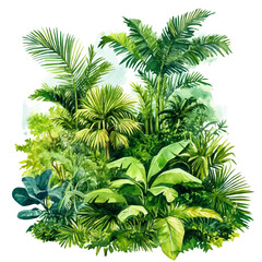 Tropical Island Lush Greenery, watercolor vector, isolated on a white background.