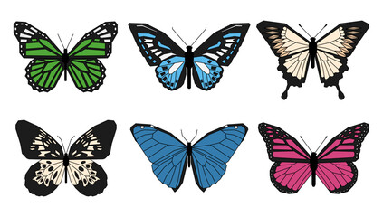 Set of butterflies with colorful wings. Collection of colored butterflies isolated on white background. Vector illustration
