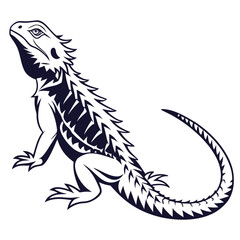 silhouette spiny tailed lizard on white background