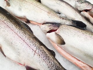 Raw trout on ice. Fresh frozen trout fish at the market, grocery store, fresh uncooked fish.