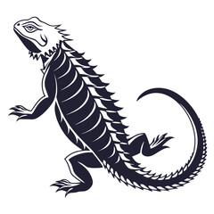 silhouette spiny tailed lizard on white background