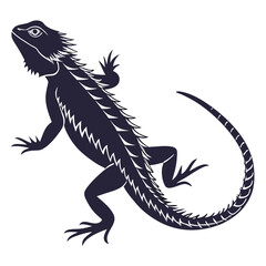 Fototapeta premium silhouette spiny tailed lizard on white background