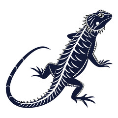 silhouette spiny tailed lizard on white background