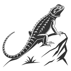 silhouette spiny tailed lizard on white background