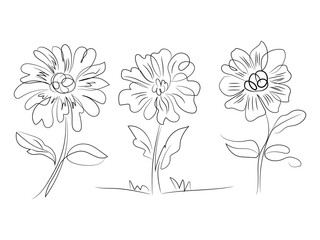 vector illustration of a flower