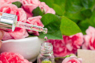 Rose essential oil in a bottle.essential oils.
