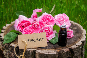 Rose essential oil in a bottle.essential oils.