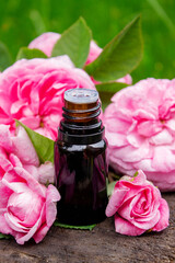 Rose essential oil in a bottle.essential oils.