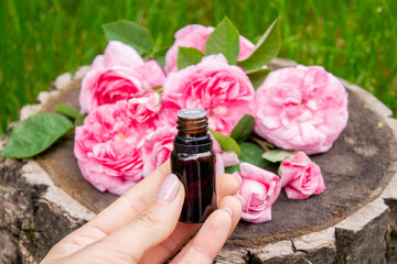 Rose essential oil in a bottle.essential oils.