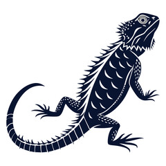 silhouette spiny tailed lizard on white background