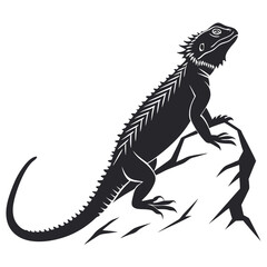 silhouette spiny tailed lizard on white background