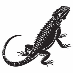 silhouette spiny tailed lizard on white background