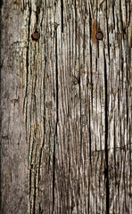A close-up of heavily weathered wood, showing deep cracks, raised grain, and two rusted nails...