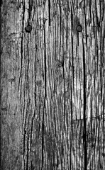 A close-up of heavily weathered wood, showing deep cracks, raised grain, and two rusted nails...