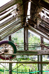 Sunlight pierces the fractured roof of a derelict greenhouse, illuminating a solitary, brightly...