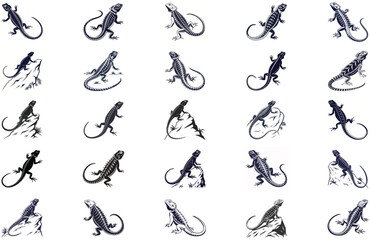 silhouette spiny tailed lizard on white background