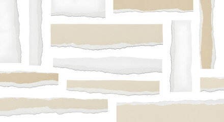 Neutral Background with Ripped Paper Edges, Assorted Ripped Paper Pieces on a White Backdrop