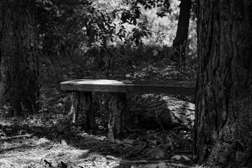 A handmade wooden bench, crafted from tree logs, sits quietly in a dappled forest clearing,...