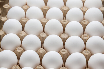 white chicken eggs in the cardboard egg tray with rooms for thirty eggs isolated on white background