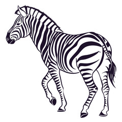 silhouette zebra on white background