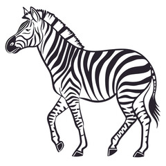 silhouette zebra on white background