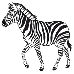 silhouette zebra on white background
