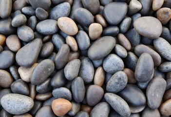 Smooth river stones, wet and polished