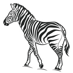 silhouette zebra on white background