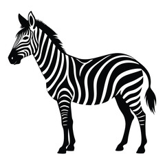 silhouette zebra on white background