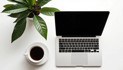 Laptop and coffee on clean desk with plant