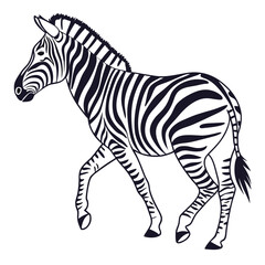 silhouette zebra on white background