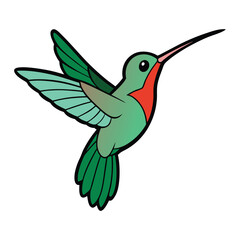 hummingbird in flight art vector white background.