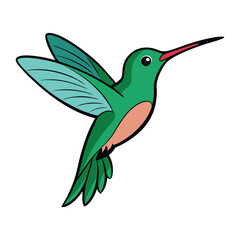 hummingbird in flight