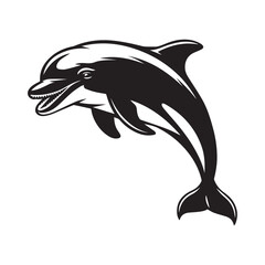 dolphin isolated on white background