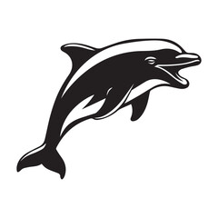 dolphin isolated on white background