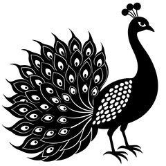 peacock vector illustration silhouette on white background
